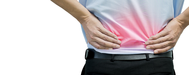 Physical Therapy for Back & Neck Pain